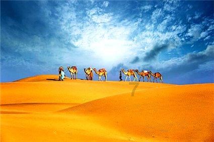 腹泻会导致胃病复发?这是为什么呢?——智慧问答,迎刃而解